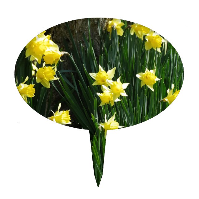 Spring Daffodils Cake Topper (Front)