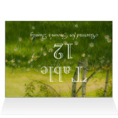 Spring Daffodils Cards (Inside Horizontal (Top))