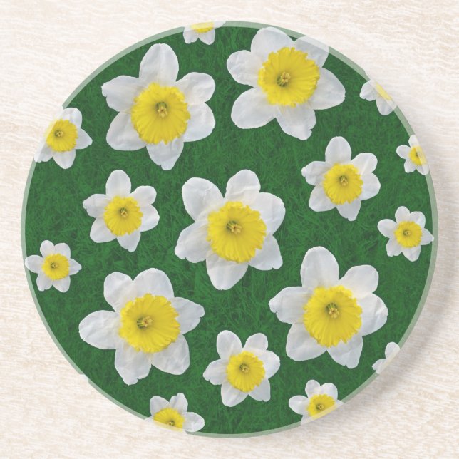 Spring Daffodils Coaster (Front)