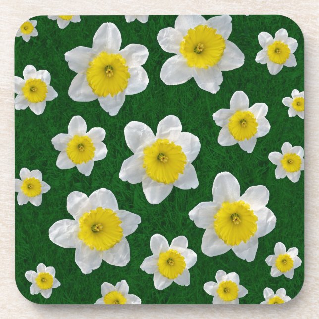 Spring Daffodils Drink Coaster (Front)