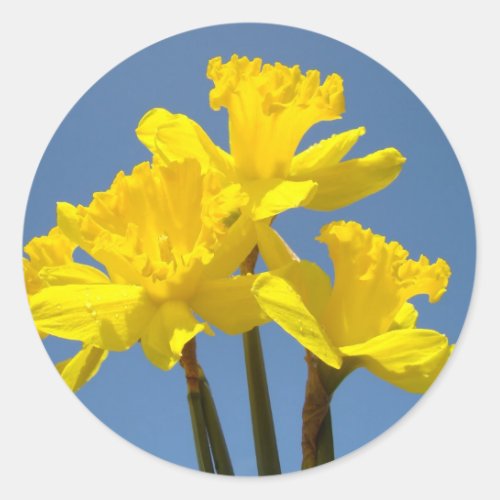 Spring Daffodils Flowers stickers Envelope seals
