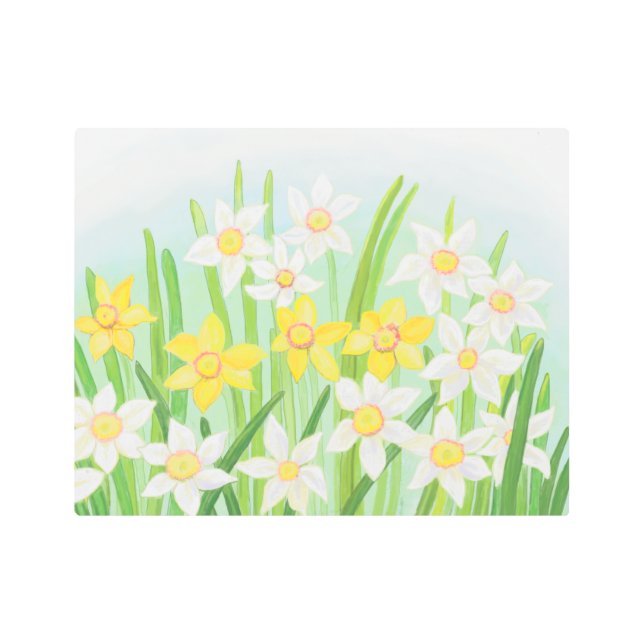 Spring Daffodils  Metal Print (Front)