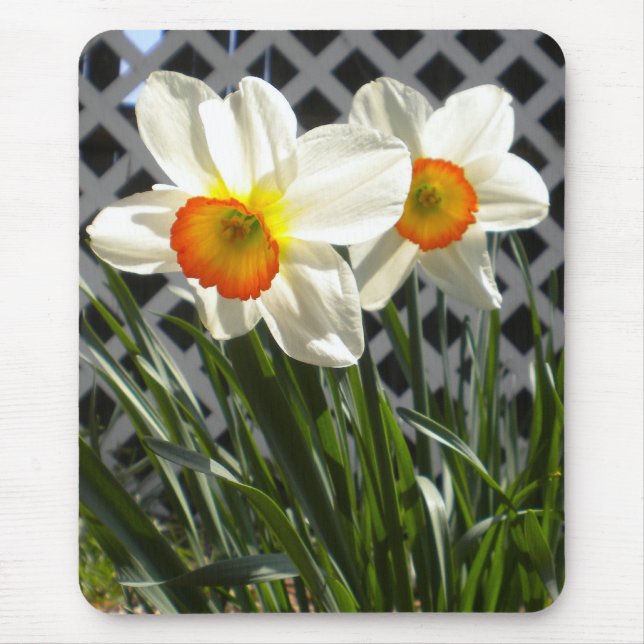 Spring Daffodils Mouse Pad (Front)