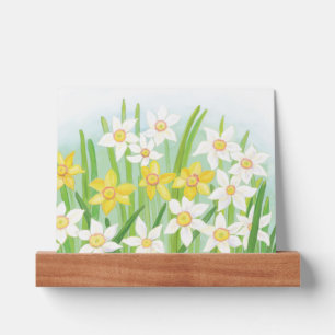 Spring Daffodils  Picture Ledge