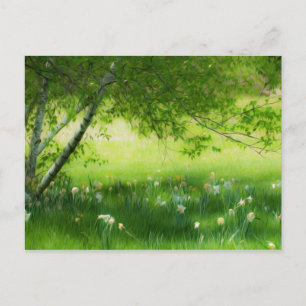 Spring Daffodils Postcard
