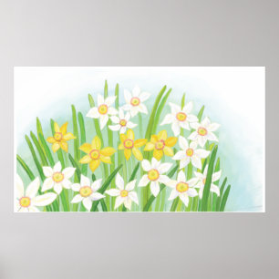 Spring Daffodils Poster