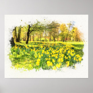 Spring Daffodils Poster