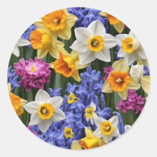 Spring Daffodils Pretty Floral Classic Round Sticker