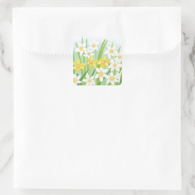Spring Daffodils  Square Sticker (Bag)