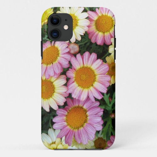 Spring Daisies Blooming iPhone 5 Case
