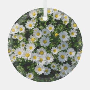 Spring Daisy Field: Serene Background Glass Ornament