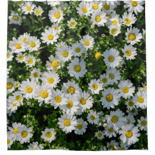 Spring Daisy Field: Serene Background Shower Curtain