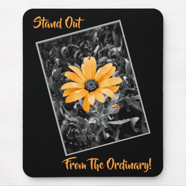 Spring Daisy Orange Color Splash Photograph Mouse Pad (Front)
