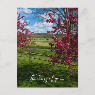 Spring Day In Rivercut Thinking Of You Postcard