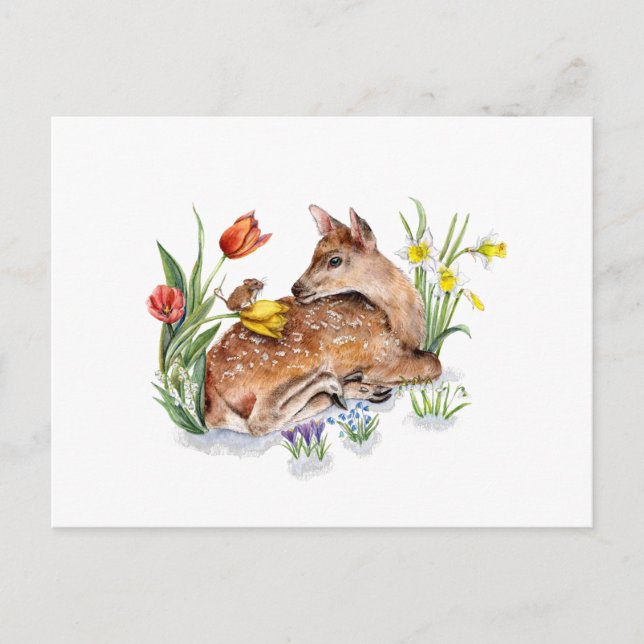 Spring Deer Postcard (Front)