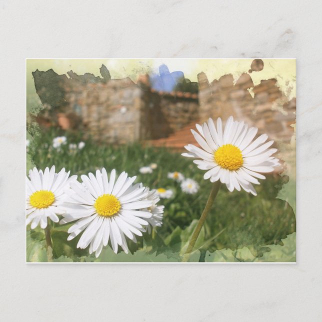 Spring.digitalArt. Postcard (Front)