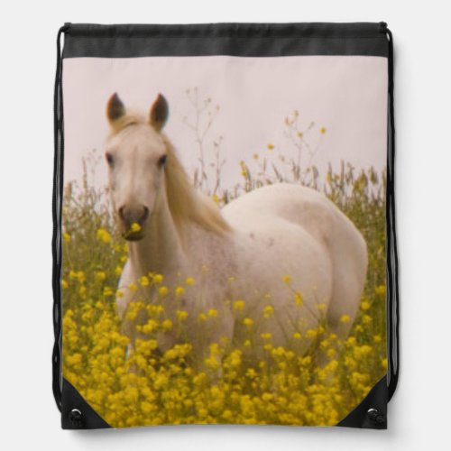 Spring Drawstring Bag