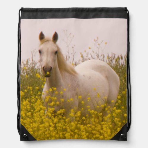 Spring Drawstring Bag