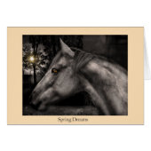 Spring Dreams Cards (Front Horizontal)
