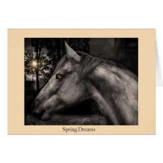 Spring Dreams Cards