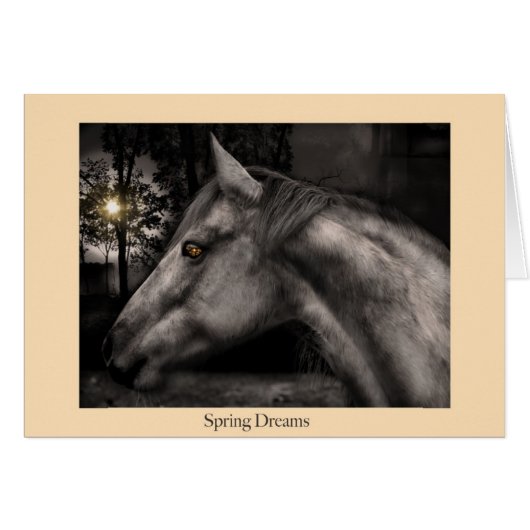 Spring Dreams Cards (Front Horizontal)
