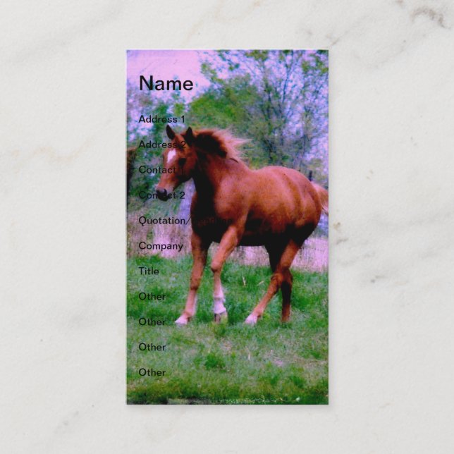 Spring Dreams, Sorrel Trotting Business Card (Front)