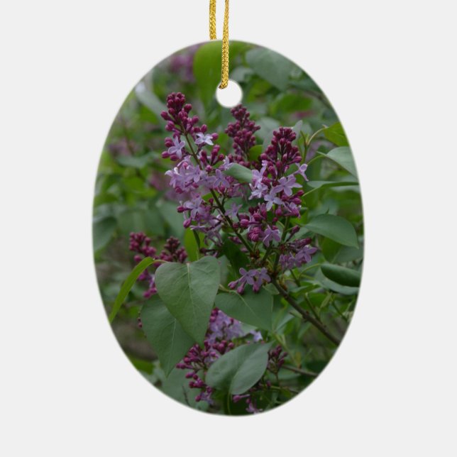 Spring/Easter: Curious lamb, lyric lylacs Ceramic Ornament (Back)