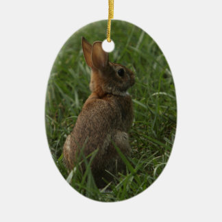 Spring/Easter ornament: rabbit and chick Ceramic Ornament