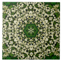 Spring Elderberry Flowers Ceramic Tile