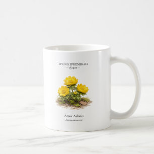 Spring Ephemerals of Japan – Amur Adonis Coffee Mug