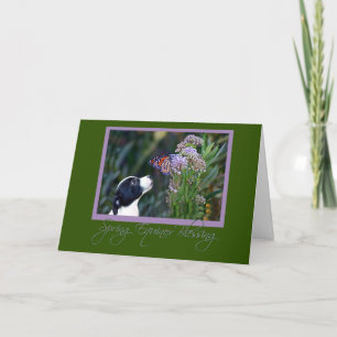 Spring Equinox Card Butterfly and Puppy Ostara