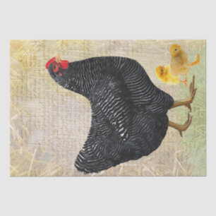 Spring Farm Hen Chickens Watercolor Tissue Paper