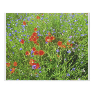 SPRING FAUX CANVAS PRINT
