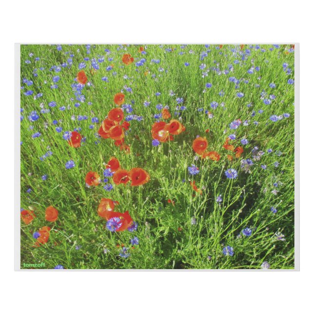 SPRING FAUX CANVAS PRINT (Front)