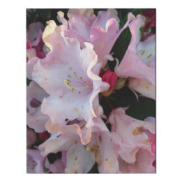 Spring Faux Canvas Print