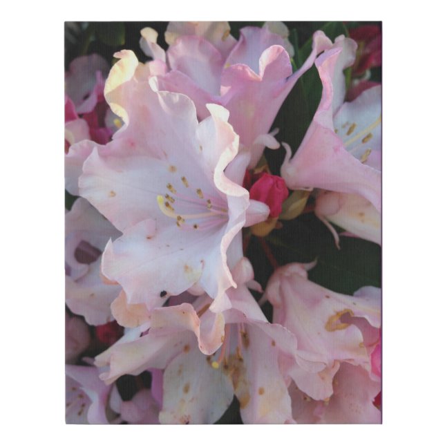 Spring Faux Canvas Print (Front)