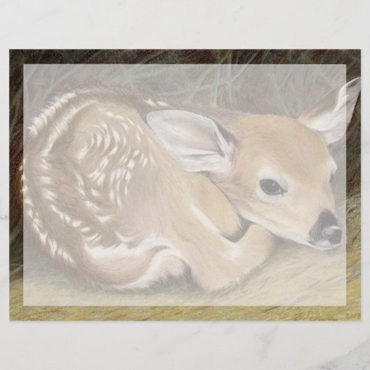 Spring Fawn (Front)