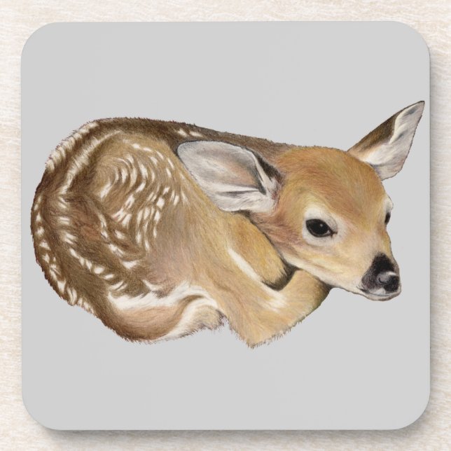 Spring Fawn Beverage Coaster (Front)