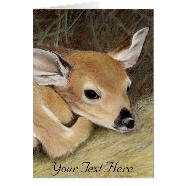 Spring Fawn Cards (Front)