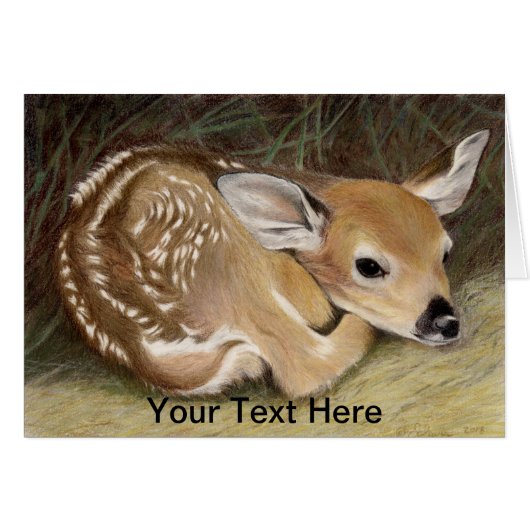 Spring Fawn Cards (Front Horizontal)