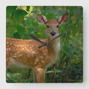 "Spring Fawn" Square Wall Clock