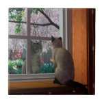 Spring Fever Ceramic Tile<br><div class="desc">Meow</div>
