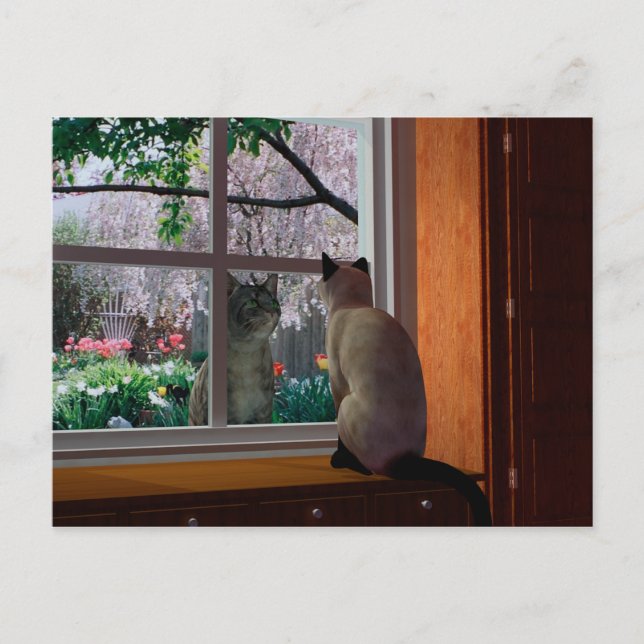 Spring Fever Postcard (Front)