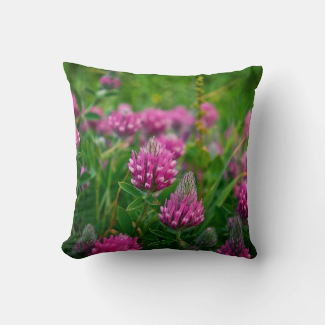 Spring Field Throw Pillow (Front)