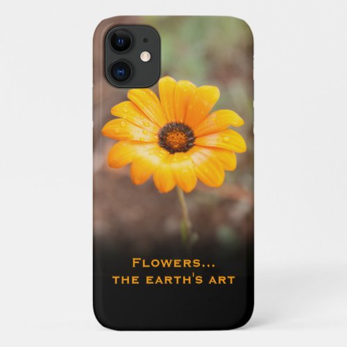 Spring Flash African Daisy Close Up Photo Custom iPhone 11 Case