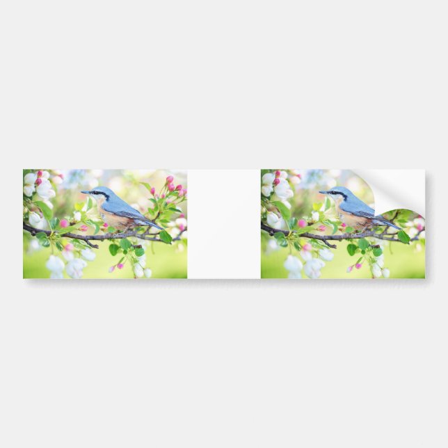 spring fling bluebird bumper sticker (Front)