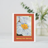 Spring floral colorful flowers (Standing Front)