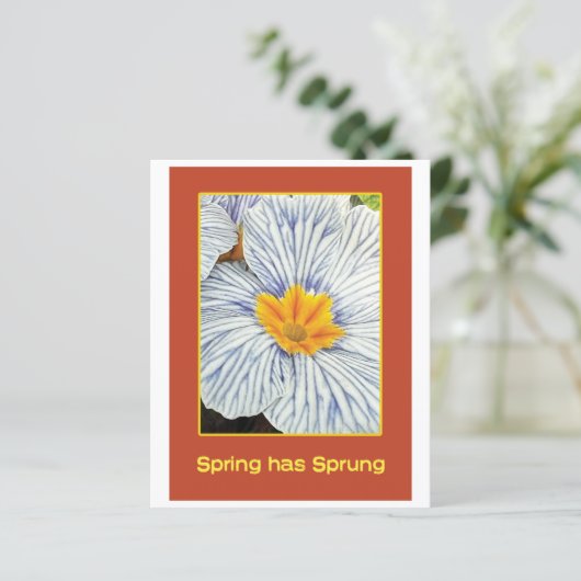 Spring floral colorful flowers (Standing Front)