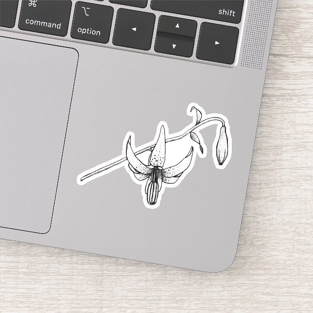 Spring Floral | Columbia Lily | Botanical Sticker (Detail)