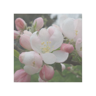 Spring Flower 12" x 12" Gallery Wrap